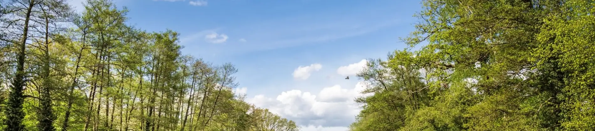 BSc Real Estate with Foundation